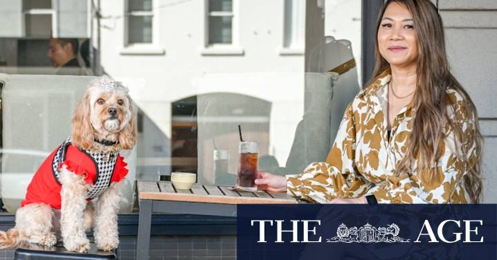 $1000 a month on treats and treatments: How spoiling ‘furbabies’ became the new normal