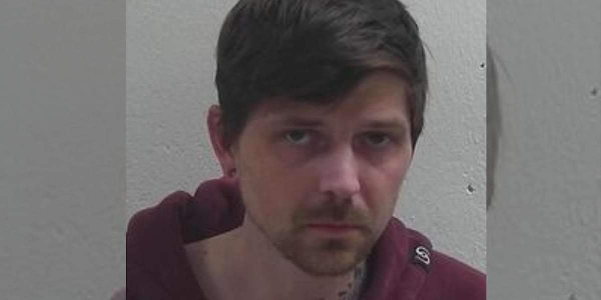 Man charged with criminal vehicular homicide following Duluth hit