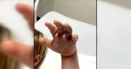 Boy, 4, bitten by venomous snake - but nursery staff 'didn't call for help'