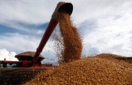Brasil recogerá este año una cosecha récord de 341,2 millones de toneladas de granos
