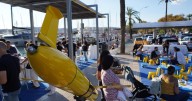La Nit de la Recerca moviliza este viernes en Baleares a más de 70 investigadores para divulgar la ciencia