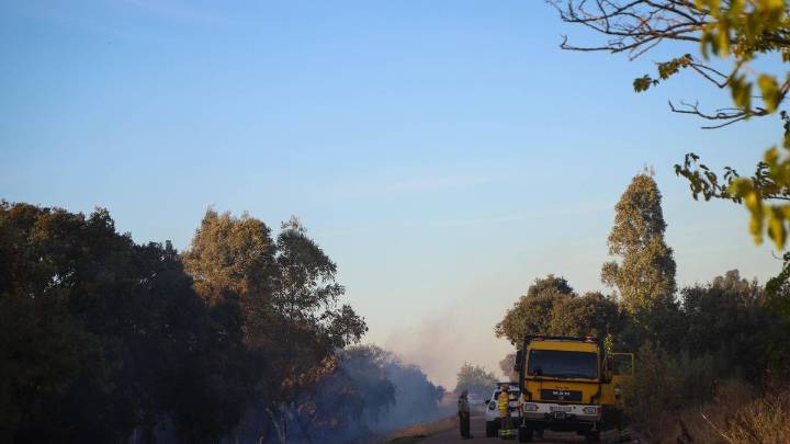 Arden tres hectáreas de dehesa y pasto en las Casas Aisladas de Gévora
