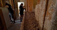 B.C. home built with fire-resistant hempcrete aims to withstand wildfires
