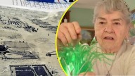 "Llegamos cuando esto era un potrero": Vecina de Vitacura paga contribuciones más altas que su pensión