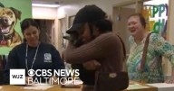 Woman reunited with dog after it was stolen with car in Howard County