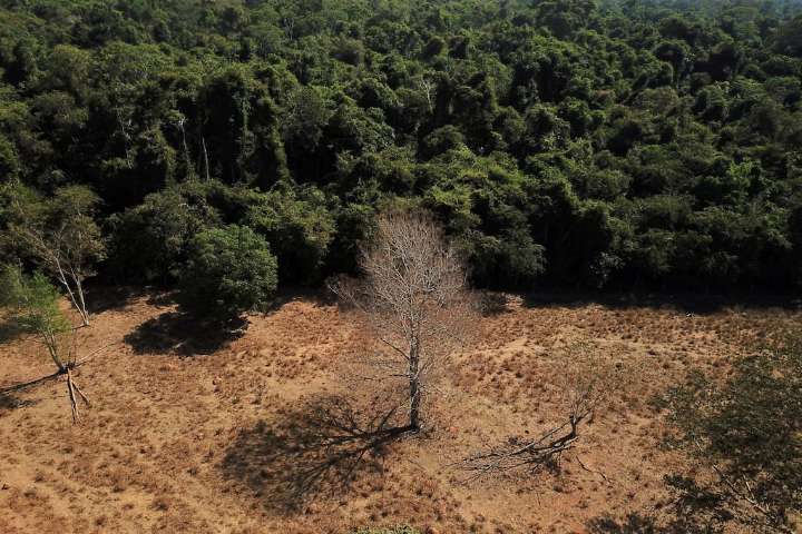 Un nuevo estudio logró identificar el origen de la sequía en la Amazonía