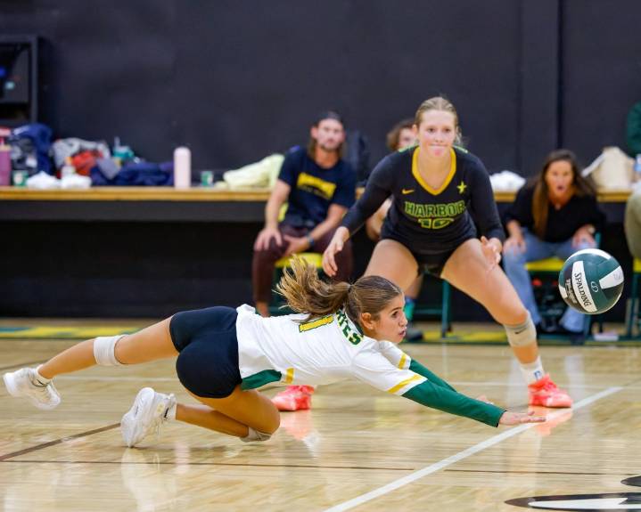 Harbor volleyball knocks off Salinas in nonleague battle of defending CCS finalists