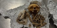 Human bones found in luggage at Tampa International Airport