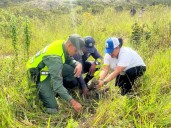 Gran Misión Madre Tierra reforestó más de 135 hectáreas