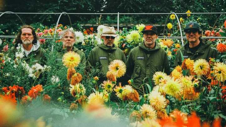 Super Furry Animals Reunite for First Tour in a Decade