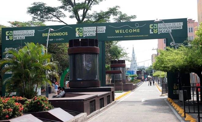 Inicia en Cali la ‘Semana de la Biodiversidad’: conozca programación e imperdibles de la jornada inaugural