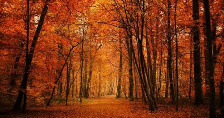 Seven pretty places in Gloucestershire to watch the leaves turn autumn colours