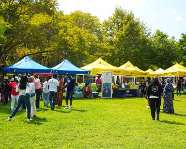 African Heritage Festival draws big crowds to Crotona Park