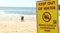 Silver Strand, Dog Beach reopened this weekend