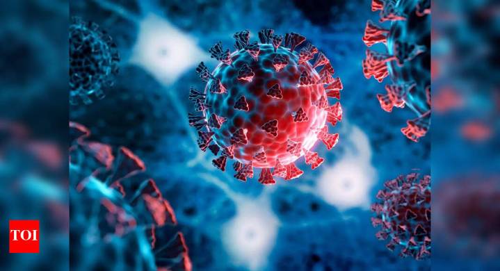 H3N2 flu Symptoms: H3N2 Flu on rise in Delhi NCR: How to distinguish from normal flu and symptoms to watch out for