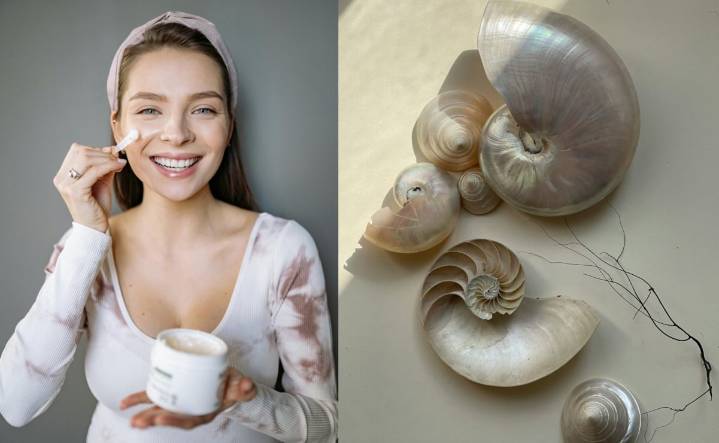Cuáles son los beneficios de la crema de concha nácar para la piel