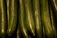 Cucumber Recall Update as FDA Sets Highest Risk Level