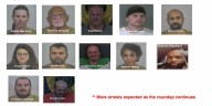 13 arrested in drug roundup