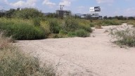 Desplazaba urbanización a la fauna; señalan ecocidio al norte de Saltillo