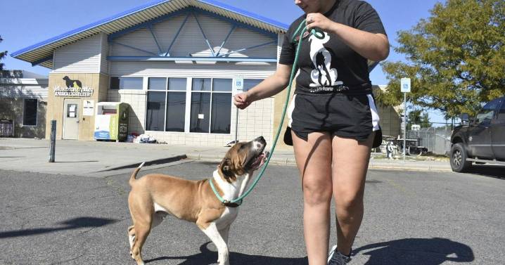 Atienden a personal de refugio de animales en Montana por humo de metanfetamina incinerada por FBI