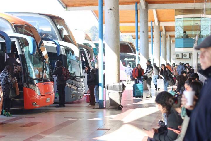 Cámara de Diputados legislará para reforzar las exigencias para buses interurbanos