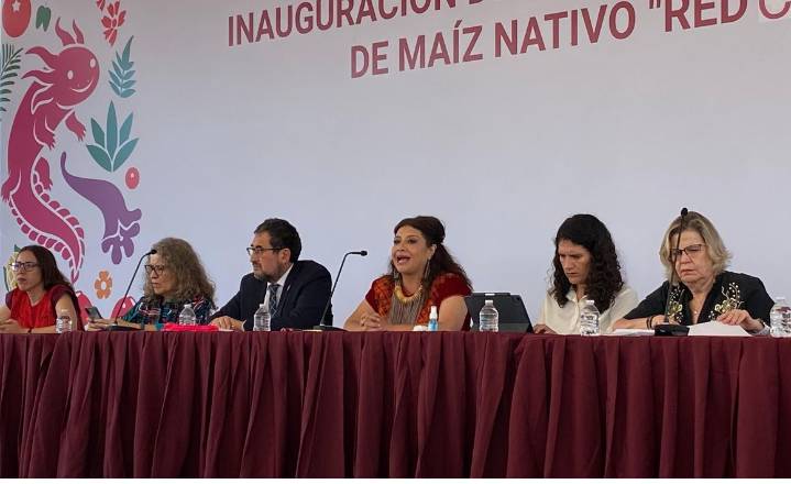 Empresa de la pipa se hará responsable del daño total: Brugada