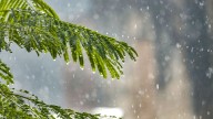 Monsoon Retreats from Northwest India, Fresh Low-Pressure System to Trigger Heavy Rains in Odisha, Andhra and Central States: IMD