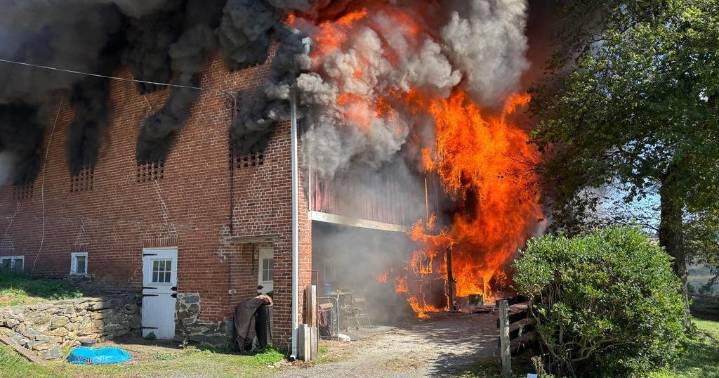 4 horses killed, 3 people injured in Maryland barn fire