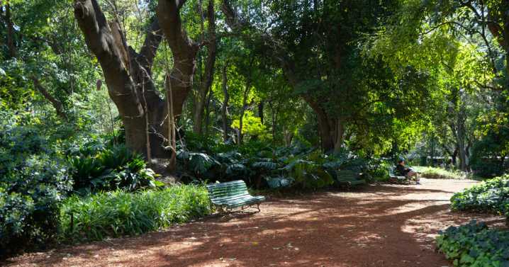 Un oasis verde en la ciudad: visitamos el Jardín Botánico