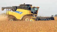 Se estima una menor exportación de harina de soja por la "alta demanda de poroto”