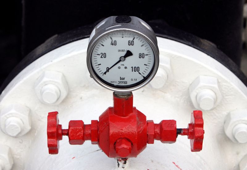Exclusive-EU could quit Russian gas within a year, US energy chief says