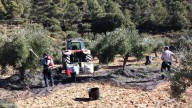 Muere un trabajador al caer a un pozo cuando recogía aceitunas en una finca de Utrera