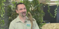 Someone You Should Know: Love of reptiles