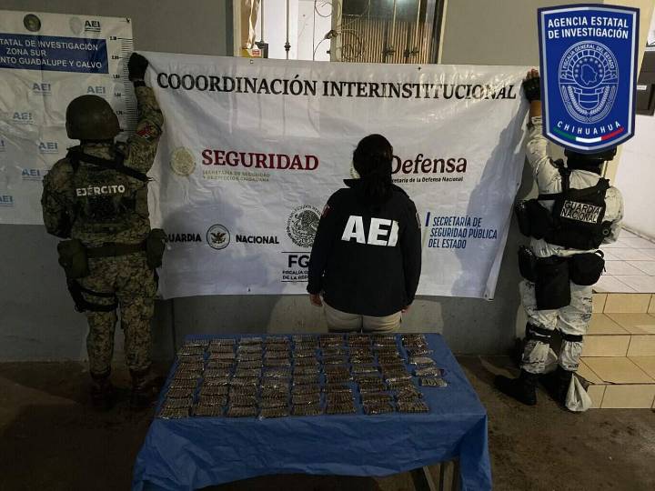 Asegura Célula BOI más de 700 cartuchos en Guadalupe y Calvo