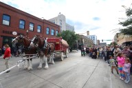 Photos: Budweiser's Clydesdales visit downtown Fargo