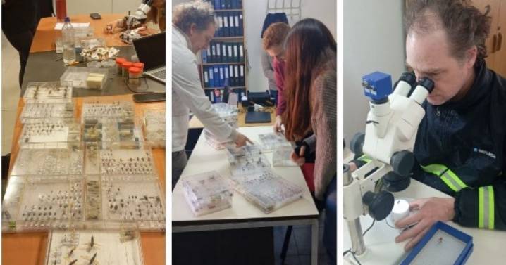 El Laboratorio de Plagas frutícolas de Patagonia Norte se sumó a la Red Nacional