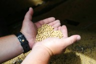 Kansas Soybean Commission concerned about farm bankruptices