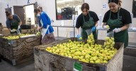 Despite decade of growth, New Mexico nonprofits feel the pinch of federal cuts