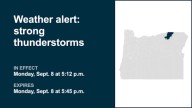 Pea-sized hail foreseen with thunderstorms to hit Foothills of the Northern Blue Mountains of Oregon Monday