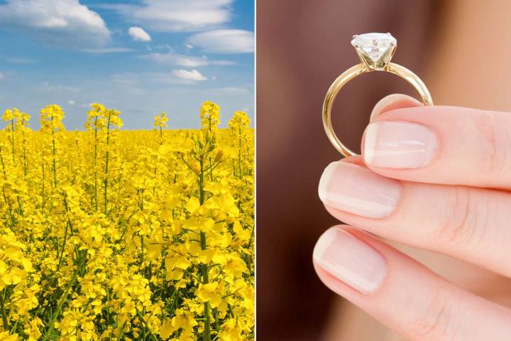 Farmer Planted Crop Field with Hidden Message Propose to Girlfriend