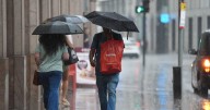 Thunderstorm warning for Warwickshire with heavy rain and hail expected