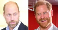 Prince William 'Had No Idea' About Harry's Meeting With Dad Charles