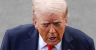 Donald Trump, 79, Says Most Americans Were Killed by Drugs in Bonkers Claim