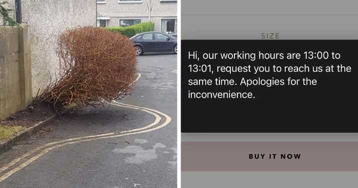 People Are Sharing Priceless “Not My Job” Moments Caught In Pictures And Here Are 41 Of The Laziest Ones (New Pics)