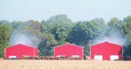 CCFR: Know what color of tobacco barn smoke to watch for