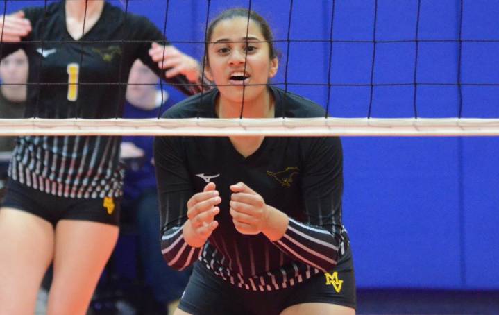 Volleyball: Raina Parekh provides spark for Metea Valley