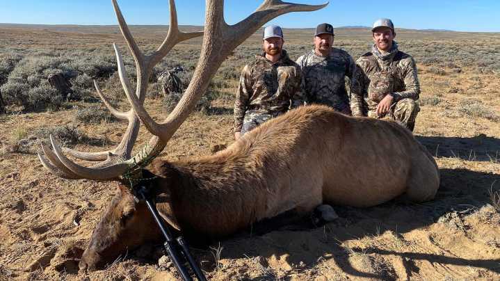 Wyoming Hunting 2025: Elk Plentiful, Deer And Antelope On The Rebound