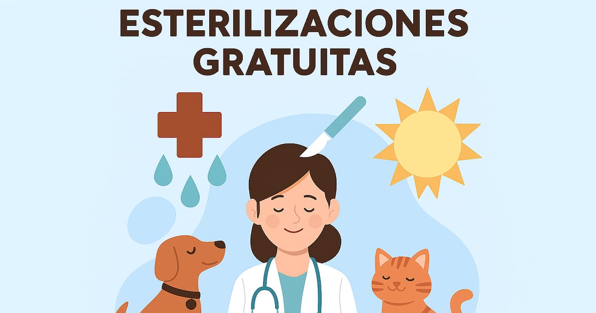 Esterilización gratuita en Hermosillo: solo 80 cupos para perros y gatos este 30 de septiembre