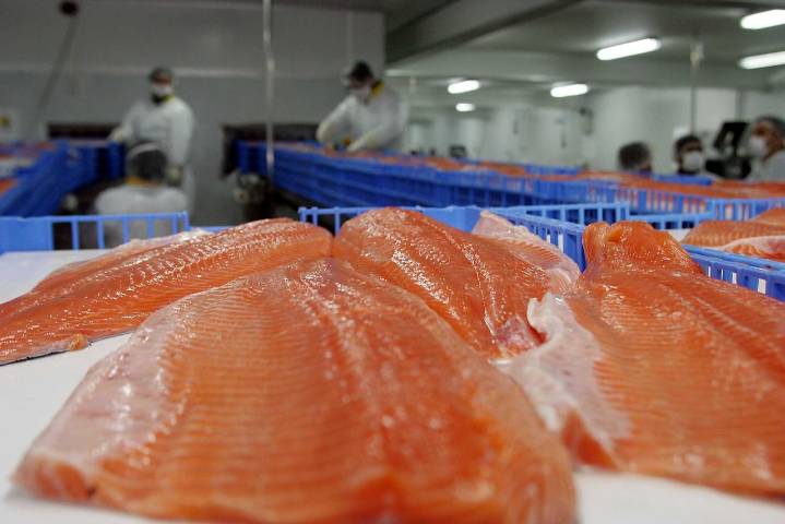 Rusia duplica las importaciones de salmón de Chile
