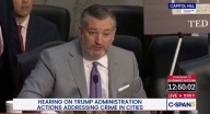 ‘Stop Attacking Pedophiles!’ Ted Cruz Lampooned for Awkward Gaffe
